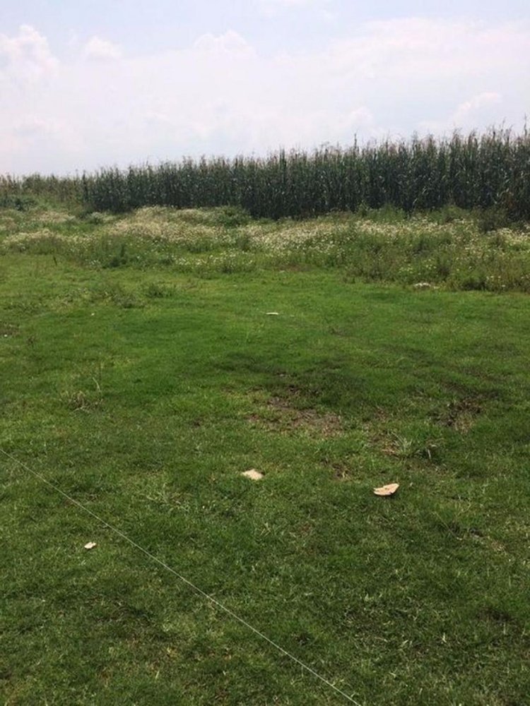 Terrain à Mexico No. 203849