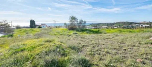 Земельный участок в Альмайяте, Испания № 181667 6