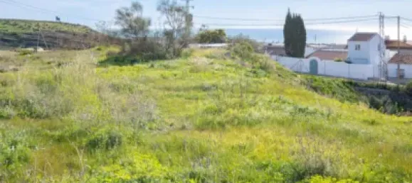 Земельный участок в Альмайяте, Испания № 181667 14