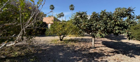 4 Schlafzimmer Finca in Daya Vieja, Spain, Nr. 10964 15