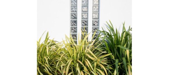 4 bedrooms House in Cascais, Portugal No. 120217 6