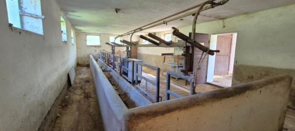 5 rooms House in Neudau, Austria No. 225645 21