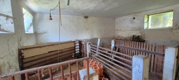 5 rooms House in Neudau, Austria No. 225645 22