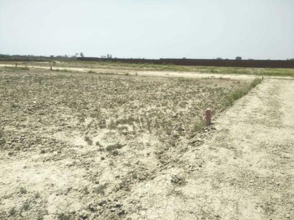  قطعة أرض في Noida, India رقم 66203