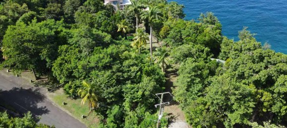 7 bedrooms Land in Stowe, Dominica No. 15 7