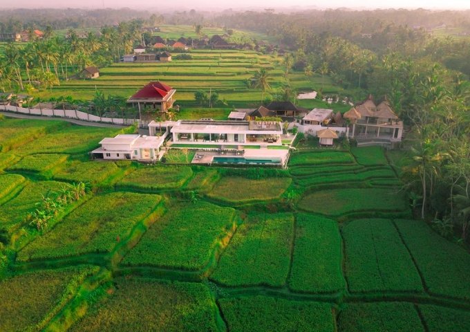 5 bedrooms Villa in Ubud, Indonesia No. 3005