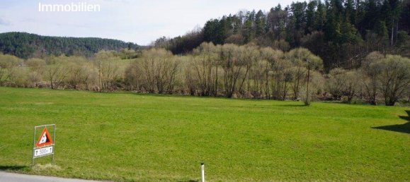 5 rooms House in Schwarzenau, Austria No. 184538 6