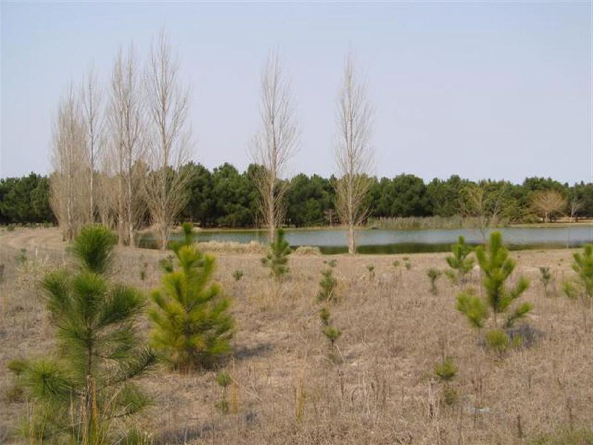 Terrain à Mar del Plata, Argentina No. 119942