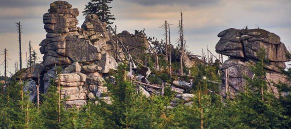 Penthouse T1 em Freyung-Grafenau, Germany N.º 149959 14