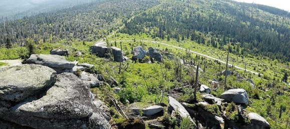 Penthouse T1 em Freyung-Grafenau, Germany N.º 149959 15