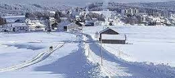 Penthouse T1 em Freyung-Grafenau, Germany N.º 149959 21