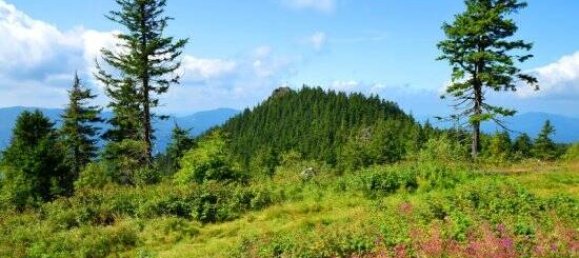 Penthouse T1 em Freyung-Grafenau, Germany N.º 149959 19