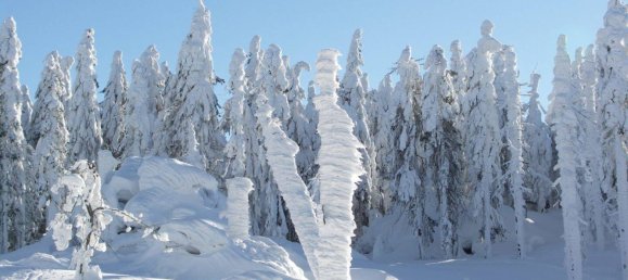 Penthouse T1 em Freyung-Grafenau, Germany N.º 149959 23