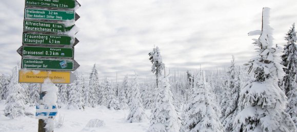 Penthouse T1 em Freyung-Grafenau, Germany N.º 149959 22