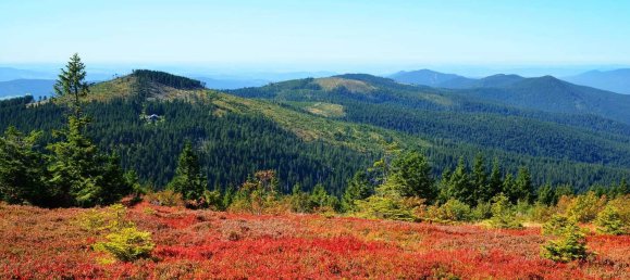 Penthouse T1 em Freyung-Grafenau, Germany N.º 149959 20