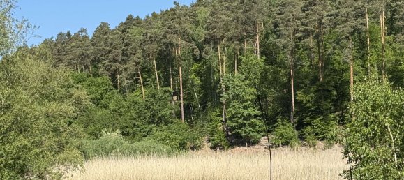 Casa de 3 dormitorios en Bad Durkheim, Germany No. 240291 21