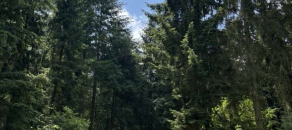 Casa de 3 dormitorios en Bad Durkheim, Germany No. 240291 17