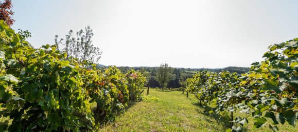 3-salle Châteaux à Puch bei Weiz, Austria No. 124717 13