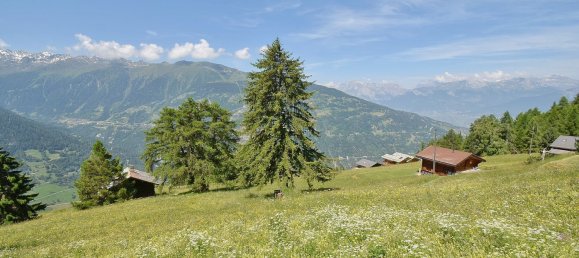 2 chambres Maison à Saint-Martin (VS), Switzerland No. 150 8