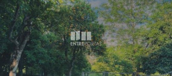 3 Schlafzimmer Haus in Ponte de Lima, Portugal, Nr. 52869 22