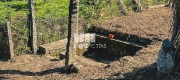 3 Schlafzimmer Haus in Ponte de Lima, Portugal, Nr. 52869 19