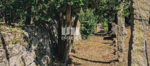 3 Schlafzimmer Haus in Ponte de Lima, Portugal, Nr. 52869 14