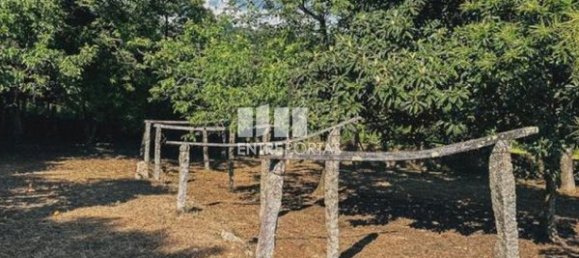 3 Schlafzimmer Haus in Ponte de Lima, Portugal, Nr. 52869 13