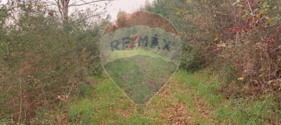 3500m² Land in Ponte da Barca, Portugal No. 59457 9