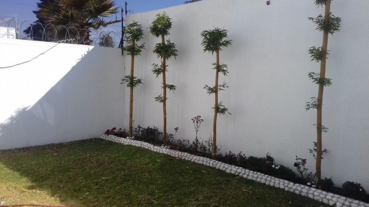 Casa T4 em Mexico N.º 225195