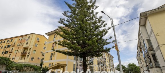 Apartamento de 3 divisões em Catanzaro, Italy N.º 98017 27