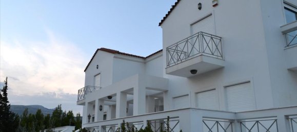 7 chambres Propriété commerciale à Marathon, Greece No. 7493 4