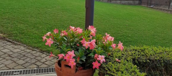 Casa de 8 dormitorios en Lu e Cuccaro Monferrato, Italy No. 310873 4