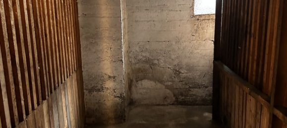 Квартира с 3 комнатами в Инсбрук-Штадт, Австрия № 212811 8