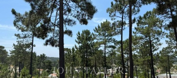 5924m² Land in Grandola, Portugal No. 132439 7