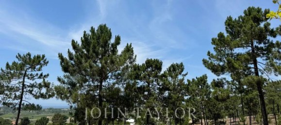 5924m² Land in Grandola, Portugal No. 132439 4