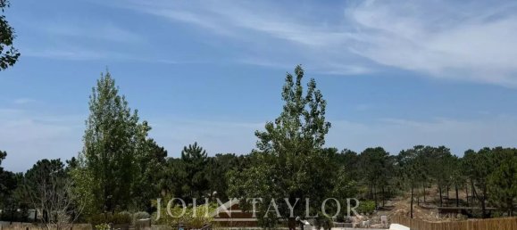 5924m² Land in Grandola, Portugal No. 132439 2