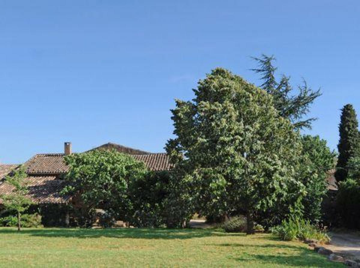 3 غرف نوم منزل في Roussillon, France رقم 25216