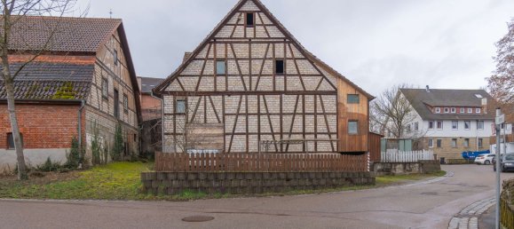 10 غرف نوم منزل في Baden-Wurttemberg, Germany رقم 52450 25