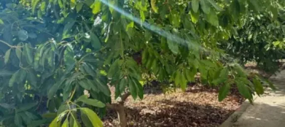 Terrain à Alhaurin de la Torre, Spain 9300m² No. 140208 5