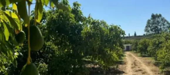 Terrain à Alhaurin de la Torre, Spain 9300m² No. 140208 2