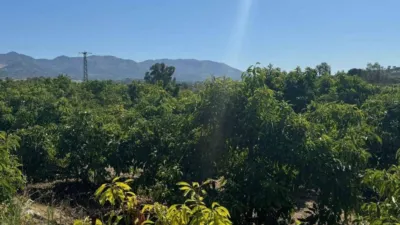 Terrain à Alhaurin de la Torre, Spain 9300m² No. 140208