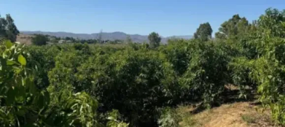 Terrain à Alhaurin de la Torre, Spain 9300m² No. 140208 13