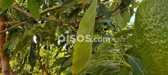 Terrain à Alhaurin de la Torre, Spain 9300m² No. 140208 12