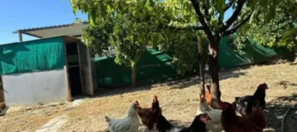 Terrain à Alhaurin de la Torre, Spain 9300m² No. 140208 11