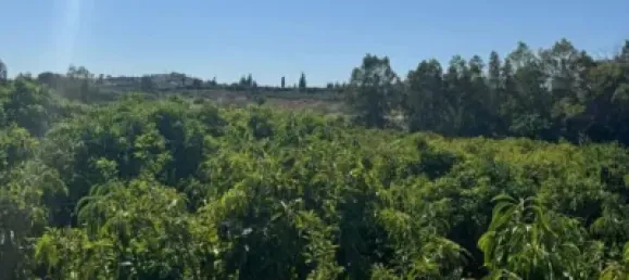 Terrain à Alhaurin de la Torre, Spain 9300m² No. 140208 14