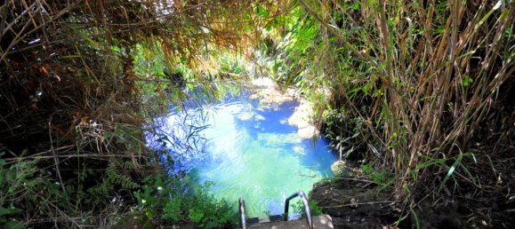 9 chambres Villa à Marbella, Spain No. 99873 13