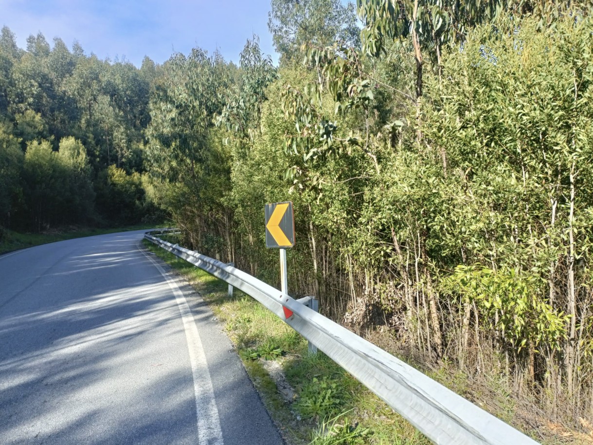  Land in Penafiel, Portugal No. 63933