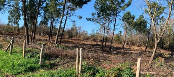 Grundstück in Asturias, Spain, Nr. 164460 5