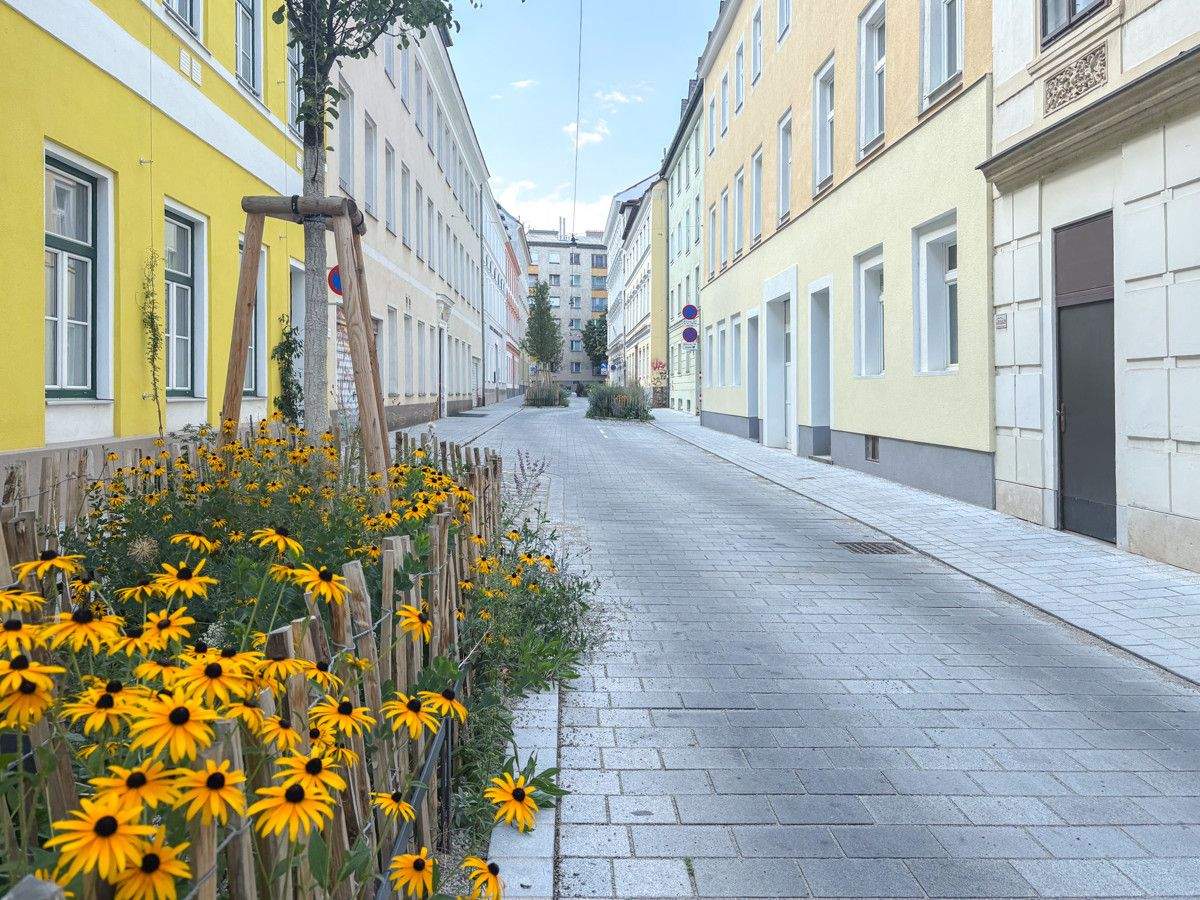 3 rooms Apartment in Neubau, Austria No. 154399