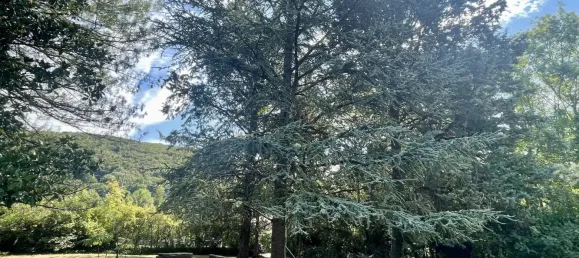 4 bedrooms Villa in Villemoirieu, France No. 321690 5